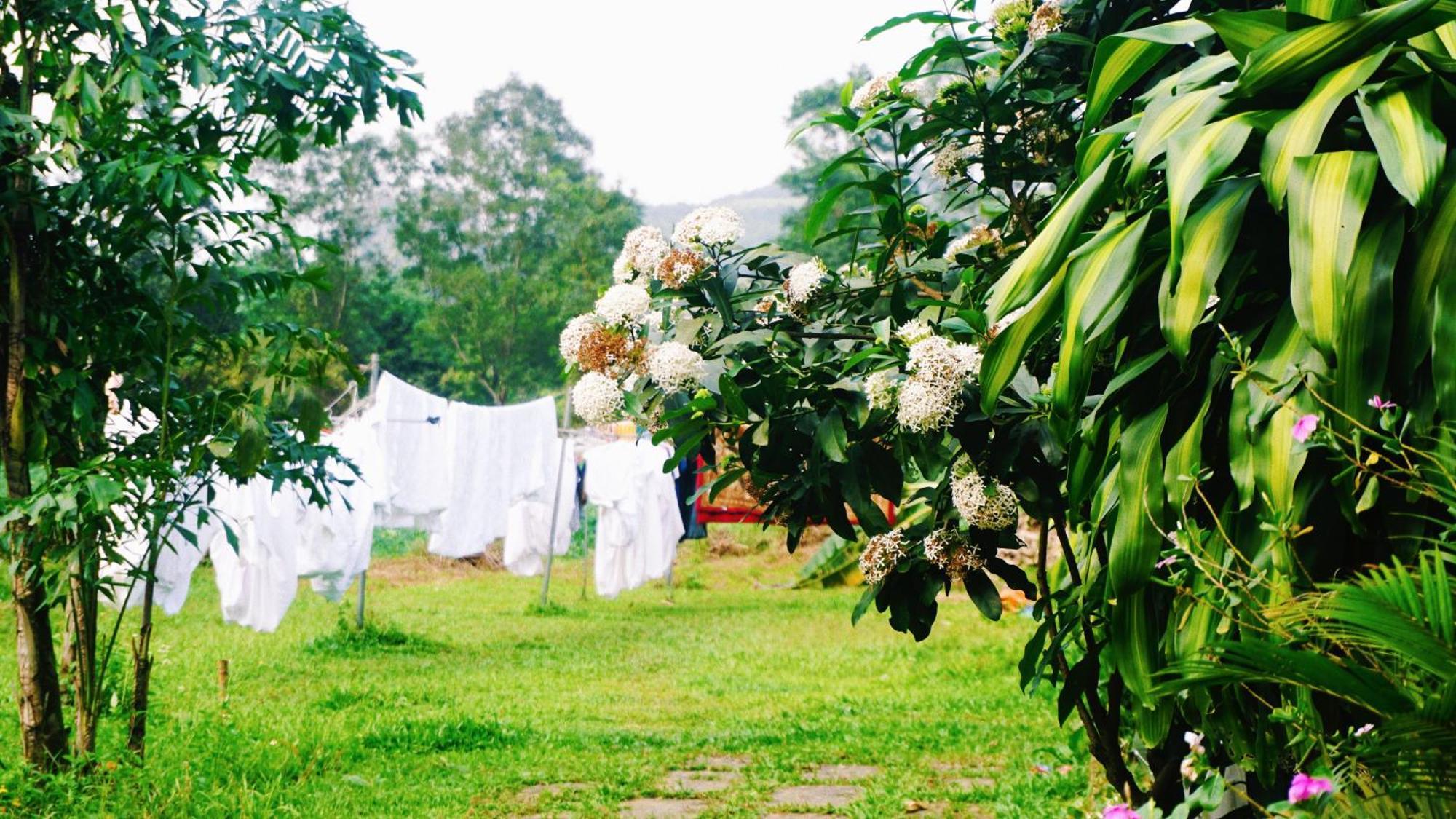 Phong Nha Eco Village Exterior photo